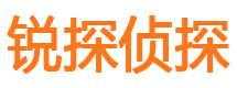 鱼峰市私家侦探